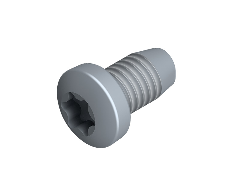 ZelfdraadvormendeT30 schroef M6 x 10 bag of 10 pcs