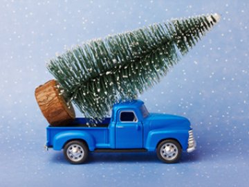 Horarios y transportes durante las vacaciones Navideñas